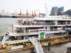 -招商蛇口邮轮母港(观光客运)