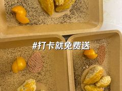 -点都德·毕德寮
