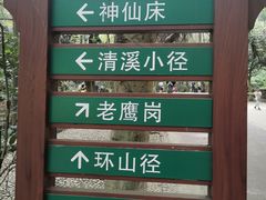 -滴水岩森林公园