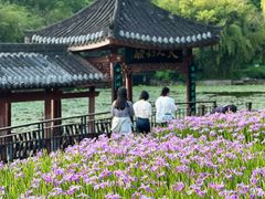 -龙头寺公园