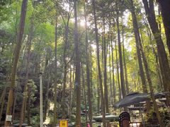-凤栖山