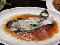 清蒸鲜露石斑鱼-英冠索菲特酒店·萧湘阁中餐厅