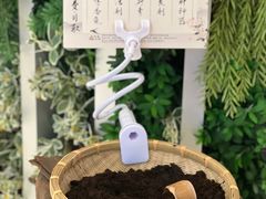 -鹊茶咖啡•新中式(深圳首店)