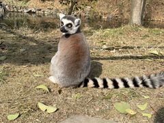 -杭州野生动物世界