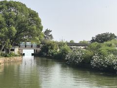-无锡蠡湖国家湿地公园-蠡园