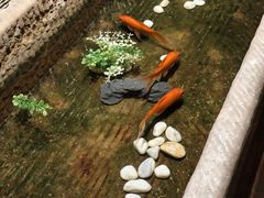 -良子健身·竹Spa(五四广场店)
