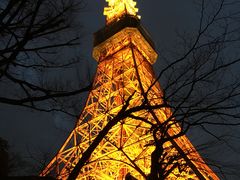 -东京塔海贼王主题公园