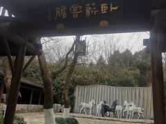 -白马涧龙池景区