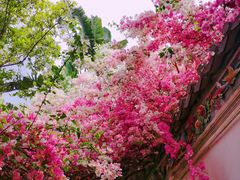 -深圳国际园林花卉博览园