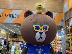-line friends(明洞旗舰店)