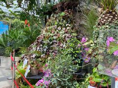 -北京植物园-展览温室