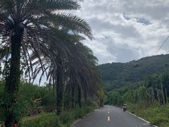 -海南热带雨林国家公园吊罗山景区
