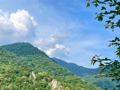 -广州市石门国家森林公园
