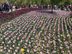 -长春公园(普阳街道)