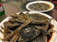 -红灯笼龙凤饭店(宁波老字号店)