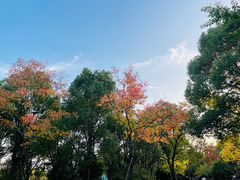 -上海吴淞炮台湾国家湿地公园