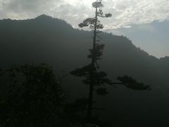 -东天目山风景区