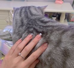 -茉柠Morning Nails