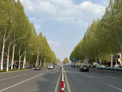 -纪林菜馆·博山菜老字号(华光路店)