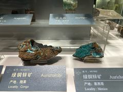 -中国地质博物馆