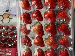 -双福水果批发市场