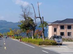 -江南天池