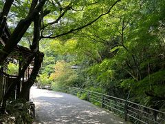 -三千院