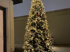 -窗外西餐厅(普罗理想国店)