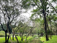 -人民公园(罗湖区)