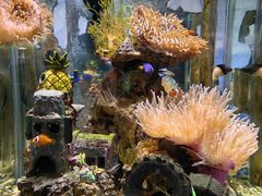 -太平洋海底世界