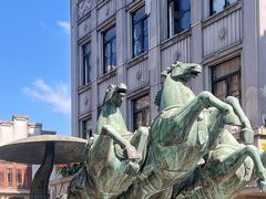 -陈辉鱼圆(五马步行街店)