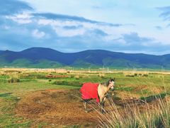 -青海湖国家重点风景名胜区