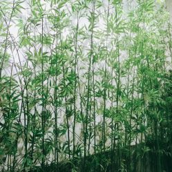 -凤绫儿亲子儿童摄影馆(天津店)