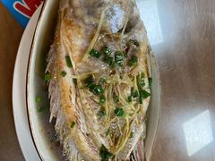 清蒸彩云鲷-聂记粤菜馆(鼓西路店)