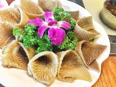 -洪焱重庆老火锅(万福花园店)