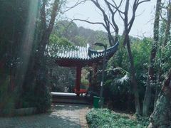 -赭山公园