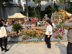 -东南花都花博园