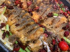 -老板恋上鱼(印象城店)