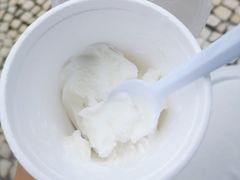 -洪馨椰子