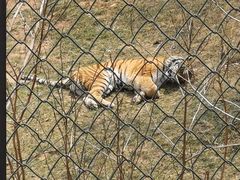 -石家庄市动物园