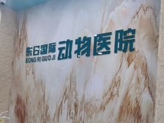 -东日国际动物医院·CT·心脏专科(桃源分院)