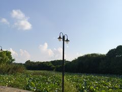 -池州市平天湖风景区