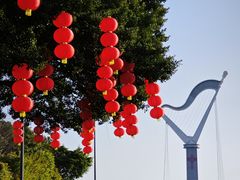 -周正水煮活鱼·吊水鱼(万科店)