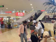 -野人先生Gelato(上海长宁龙之梦店)