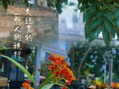 -城墙外BAR