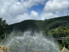 -西双版纳原始森林公园