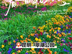 -翠湖公园