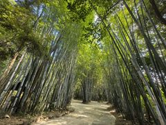-林丰温泉度假山庄