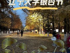 -辽宁大学(崇山校区)
