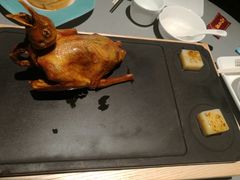 -大鸽饭(体育西路店)